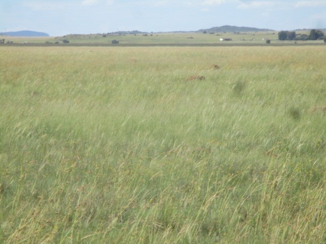 1 Bedroom Property for Sale in Bloemfontein Rural Free State